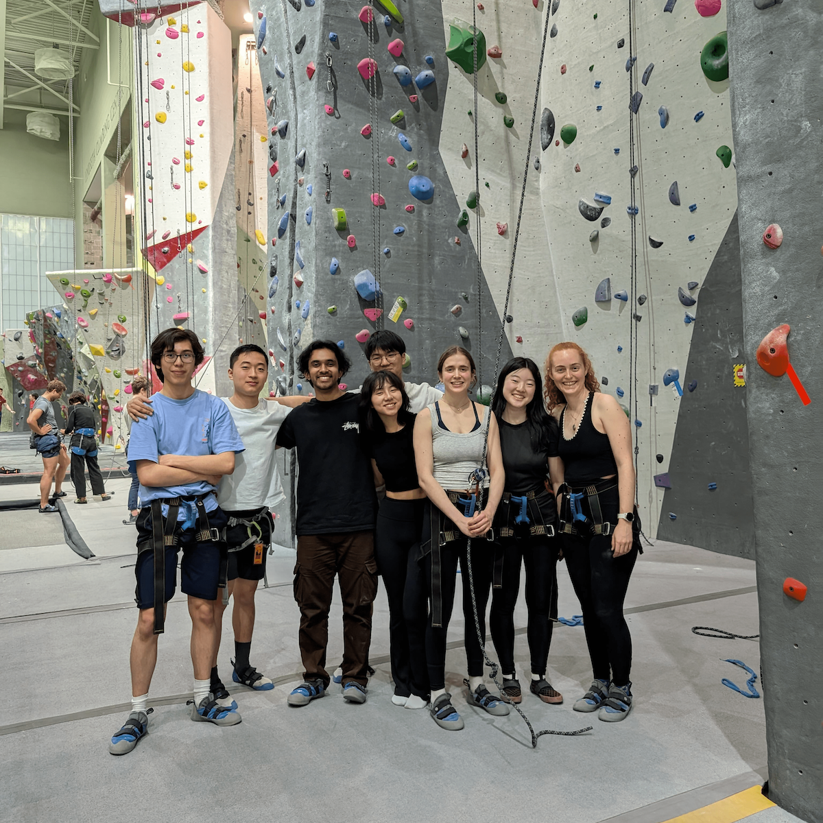 DTI members rock climbing