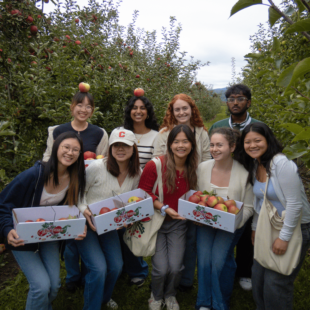 DTI members at an apple picking social